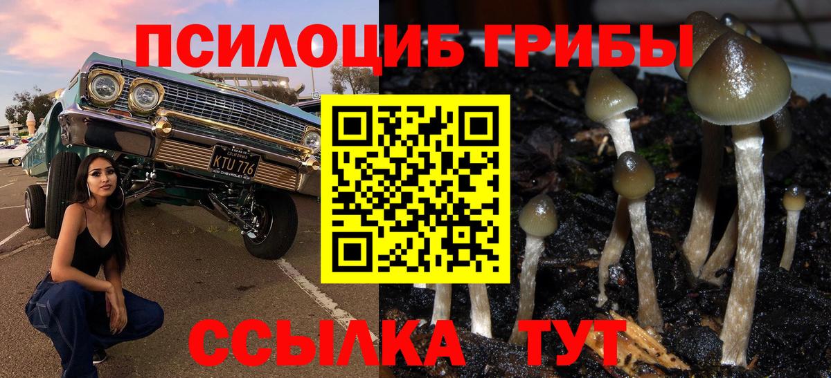 Галлюциногенные грибы Psilocybe  купить   Реутов  Вход с VPN 