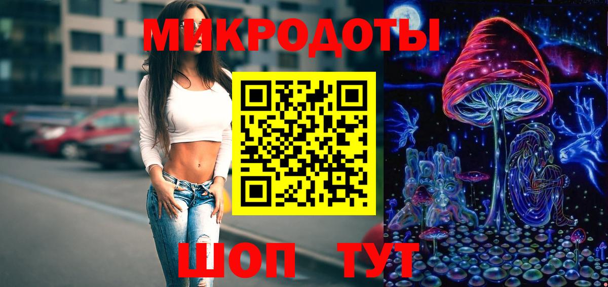 Галлюциногенные грибы Psilocybe Реутов